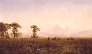 Elk Grazing in the Wind River Country Albert Bierstadt